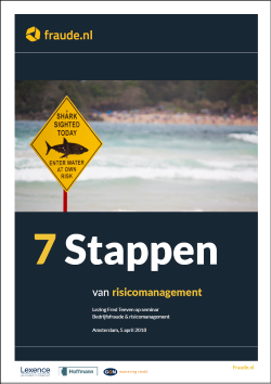 Cover whitepaper 7 stappen van risicomanagement
